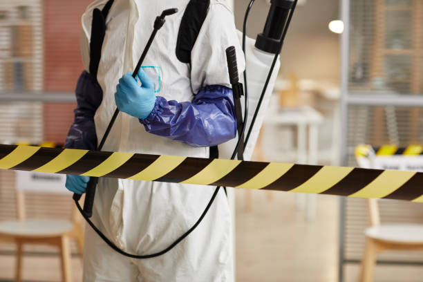 Professional Sewage Cleanup technician working in Kingston, WA